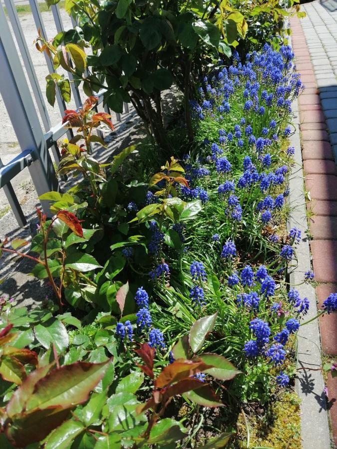 Al Mare-Villa Z Klimatyzacja Ustronie Morskie Ngoại thất bức ảnh